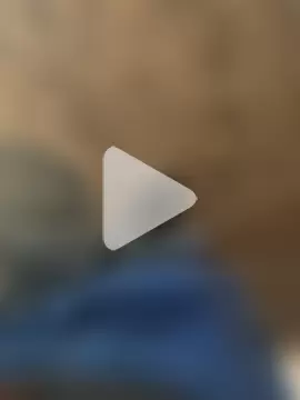 Chico031289 photo 10