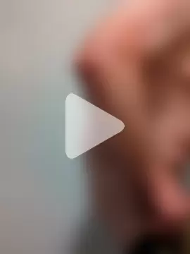 ChillerShrub photo 1