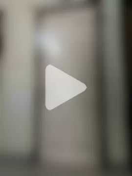 Chocolate_stud10 photo 23