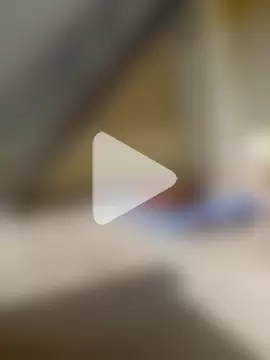 Chocolate_stud10 photo 13