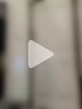 Chocolate_stud10 photo 5