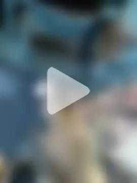 Chris2201hdb photo 1