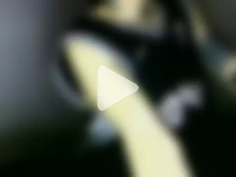 Christian_Stiven1 photo 17