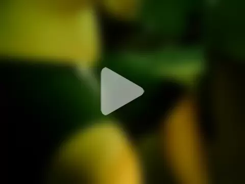 ChubOnTheInternet photo 1