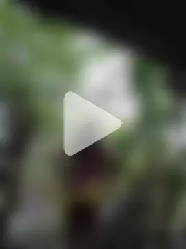 Cinpussie89 photo 16
