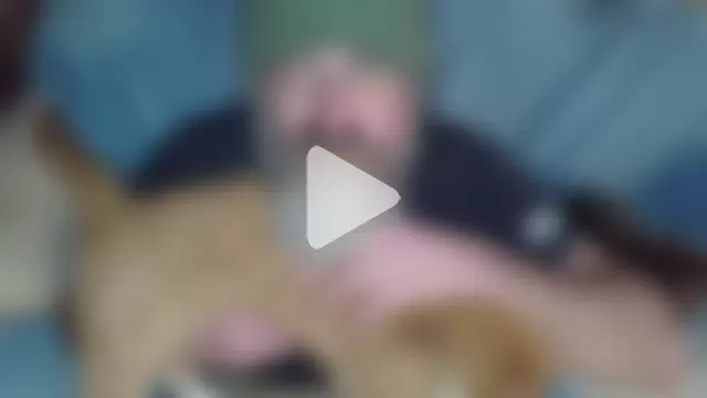 Clamsplitter420 photo 2