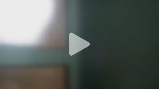 CleverPitzimitzi photo 14