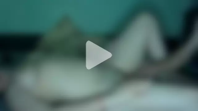 CleverPitzimitzi photo 6