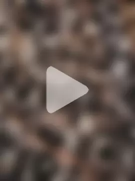 Cockiesandcream2 photo 2