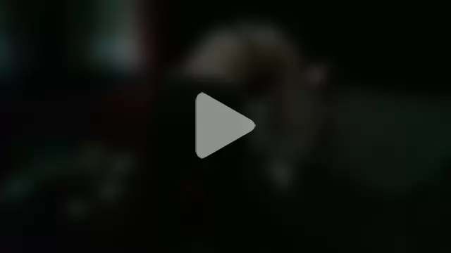 CoffeeNCreamHer photo 7