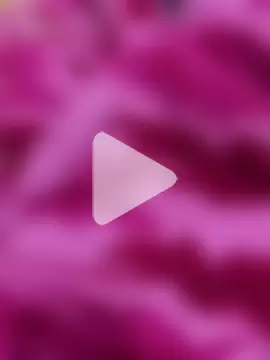 College-Boy- photo 3