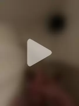 CollegeBull19 photo 9