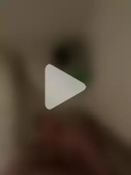 CollegeBull19 photo 4