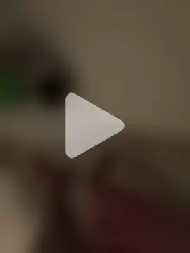 CollegeBull19 photo 3