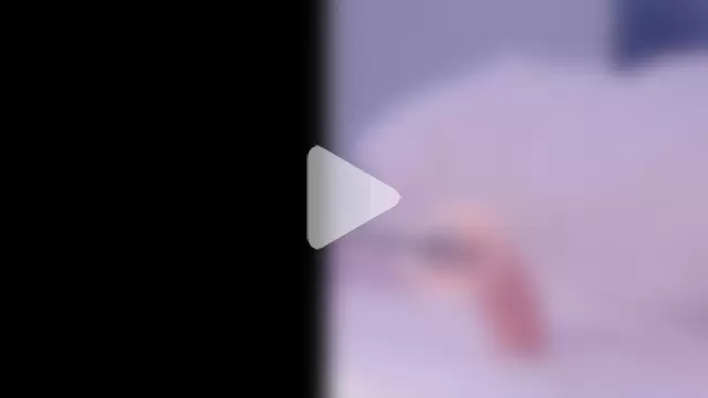 Collin_Bella photo 2