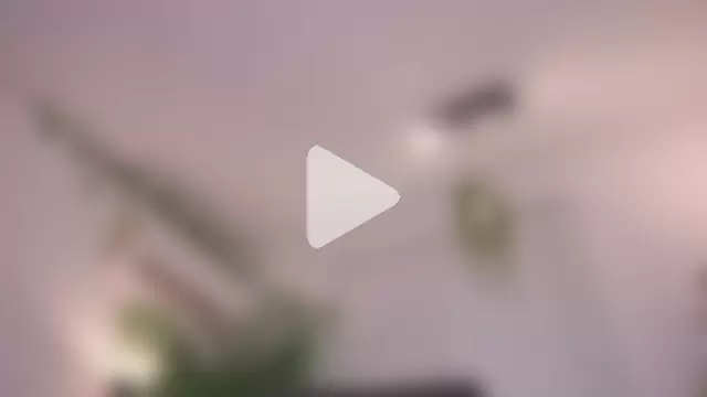 Cooper-Reds photo 11