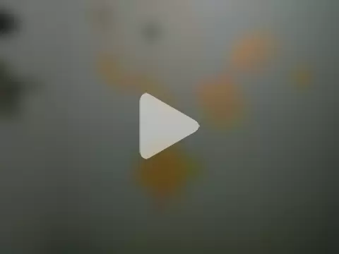 Costesamario photo 15