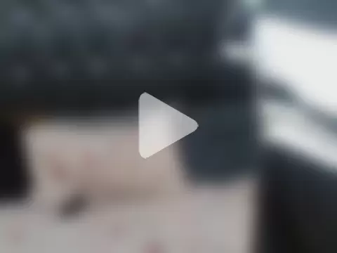 CrabbingRenting photo 27