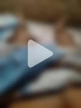 Crashsolitario photo 3