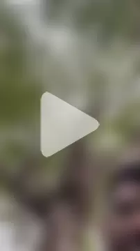 Crazyworldqueenking photo 2