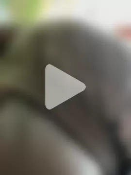 CrazzyChicks photo 6