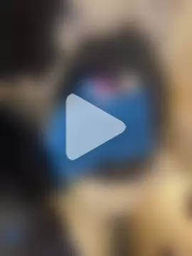 CrazzyChicks photo 3