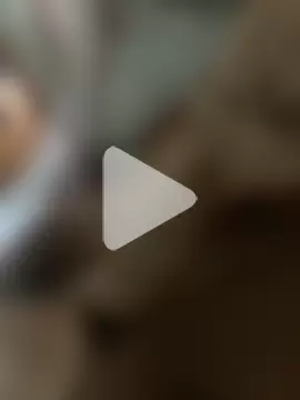 CreamBearDaddy photo 16