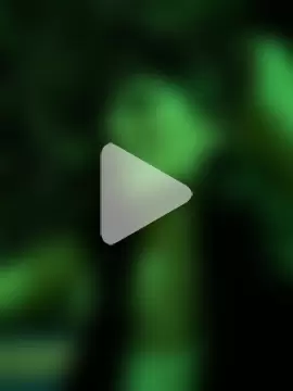 Cristal_Cerati_ photo 22