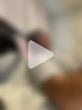 Cristian-Brayan photo 19