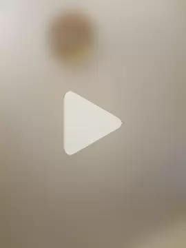 Cuchurus1216 photo 1