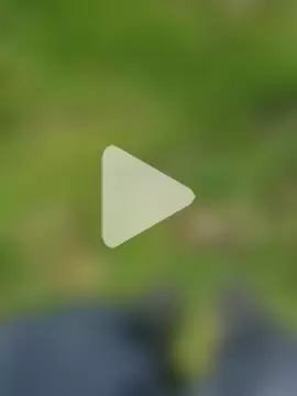 Cuervo_maniaco photo 4