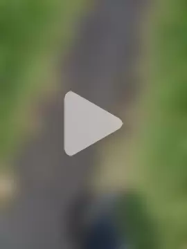 Cuervo_maniaco photo 1