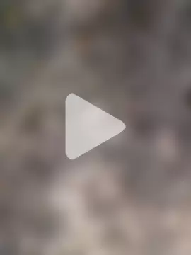 Cupalshow123 photo 21