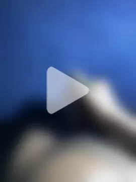 Curvy_conda photo 26