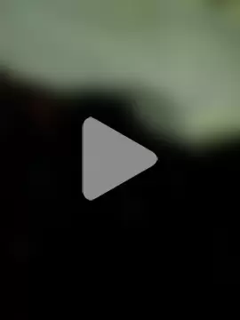 Cut_seema624 photo 3
