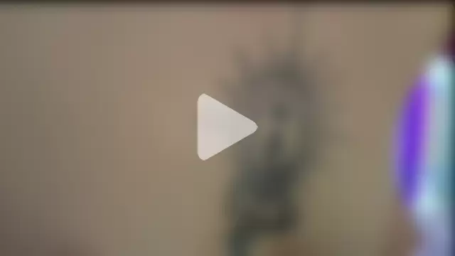 Cute_Auggie8 photo 10