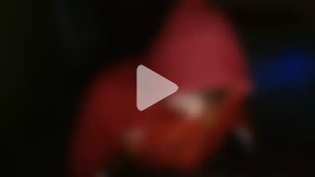 DADDY_KANE8--- photo 1