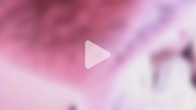 Dahian_Dmour photo 1