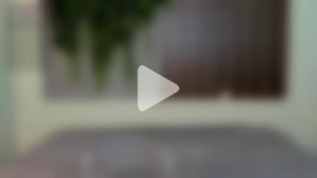 Dakotaferreti photo 30