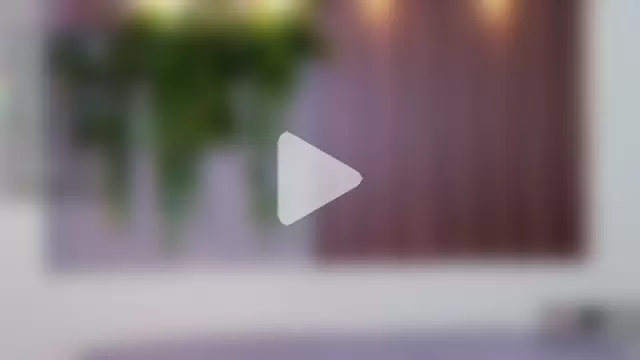 Dakotaferreti photo 13