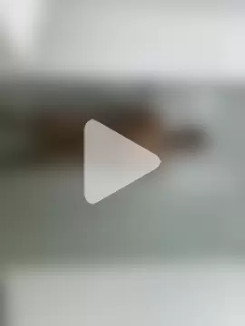 Dakotaferreti photo 10