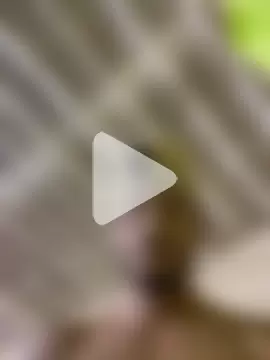 Dalton_oficial photo 10