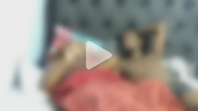 Dandelion_enigman photo 3