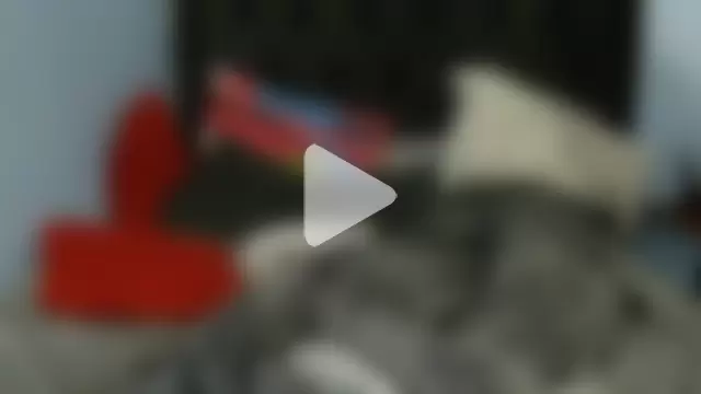 Dandelion_enigman photo 2