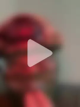 Dani18cogedor photo 14