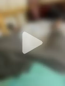 Darbelimatkap38 photo 3