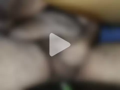 Dark-Side18B photo 10