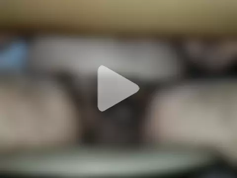 Dark-Side18B photo 14