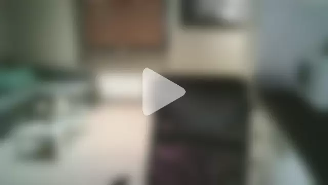 Dartanjanas13 photo 11