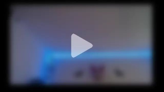 David_Fox01 photo 18